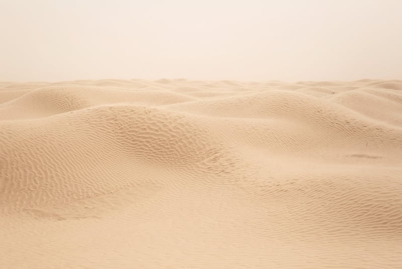 Desert Oasis
